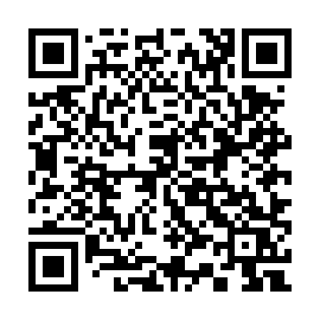 QR code for 335DXS