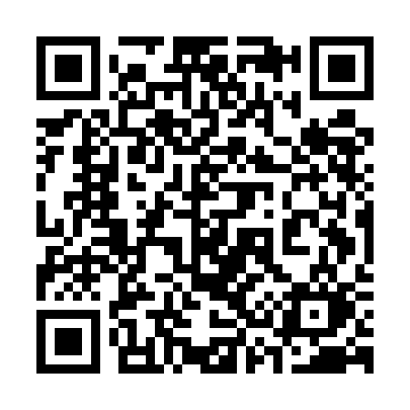QR code for 335ECO