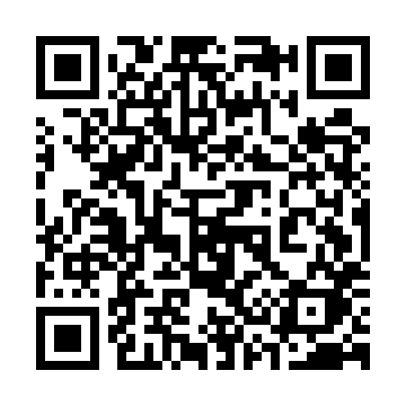 QR code for 335EXK