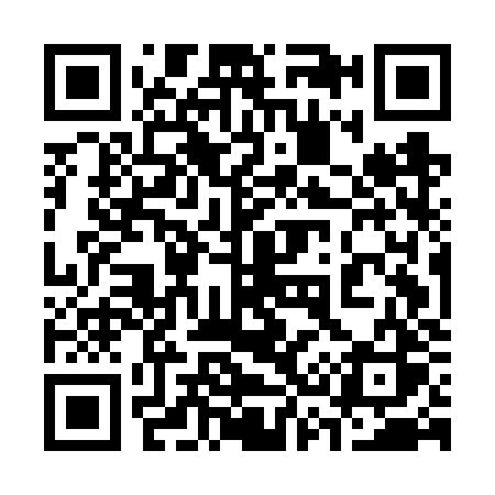 QR code for 335FZS