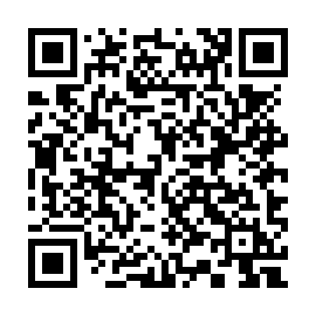 QR code for 335NYH