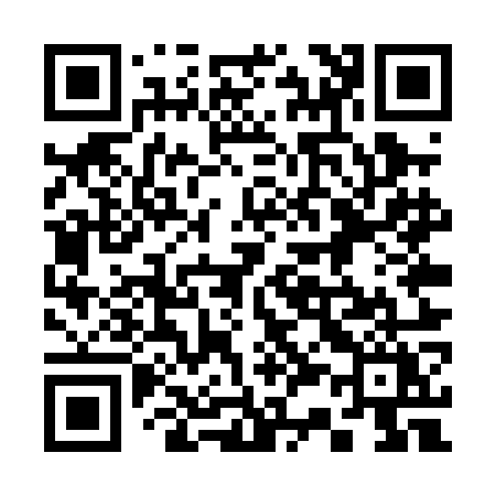 QR code for 335POY