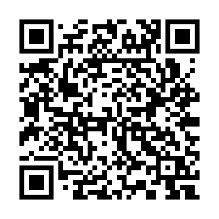 QR code for 335SQR