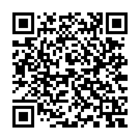 QR code for 335TCX