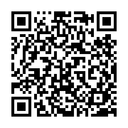 QR code for 335TIL