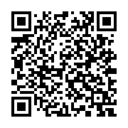 QR code for 335UIT