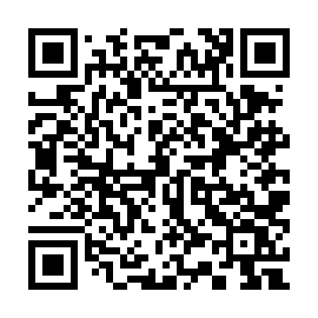 QR code for 336DLV