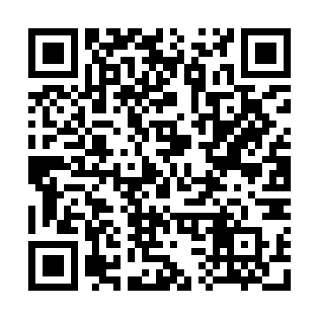 QR code for 336INP