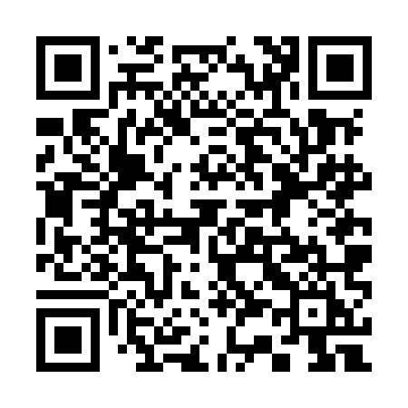 QR code for 336MMI
