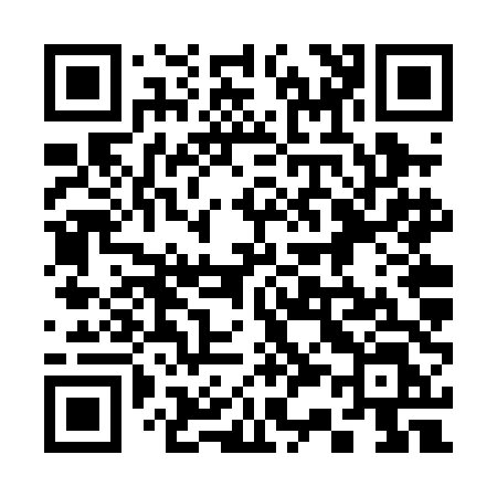 QR code for 336PDL