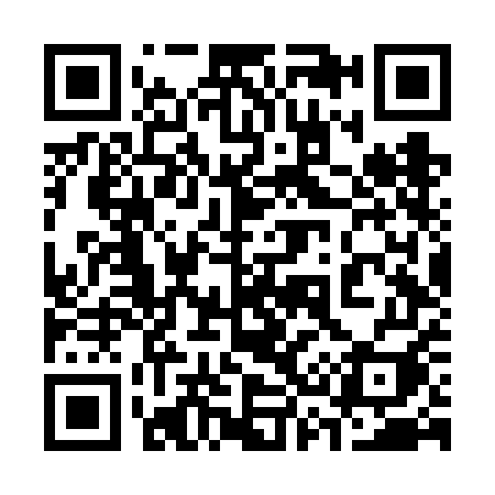 QR code for 336VEI