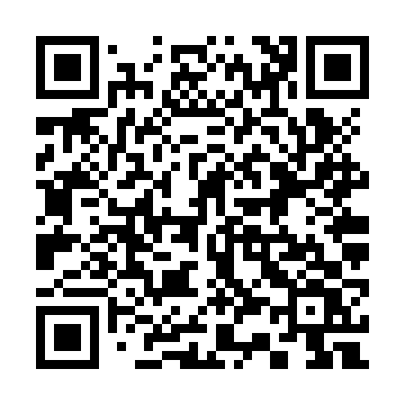 QR code for 336ZVV