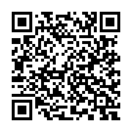 QR code for 337MLD