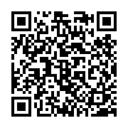 QR code for 337TAS