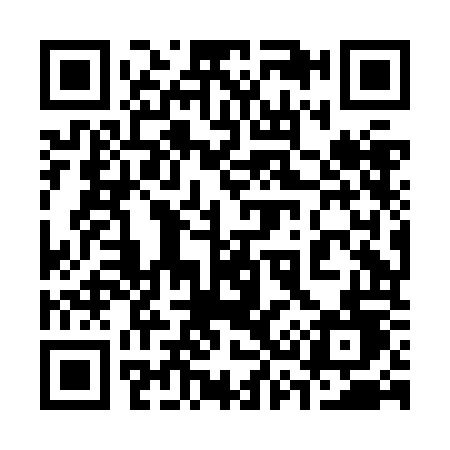 QR code for 338JOD