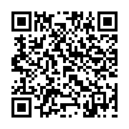 QR code for 338MIE