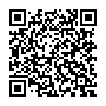 QR code for 338MIF