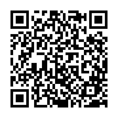 QR code for 338QDN