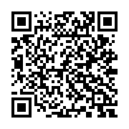 QR code for 338VDD