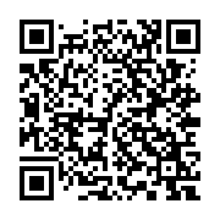 QR code for 338WOO