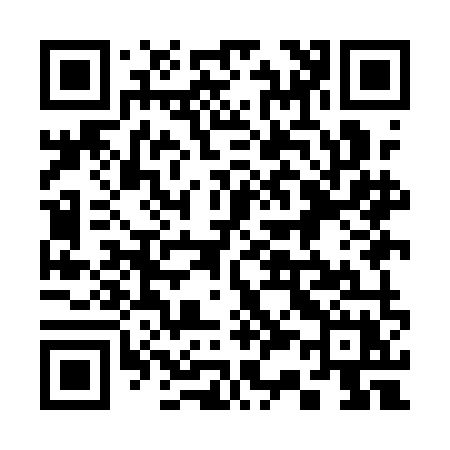 QR code for 339AMX