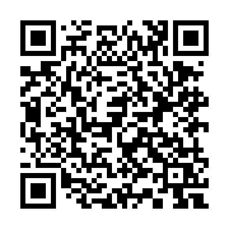 QR code for 339DMS