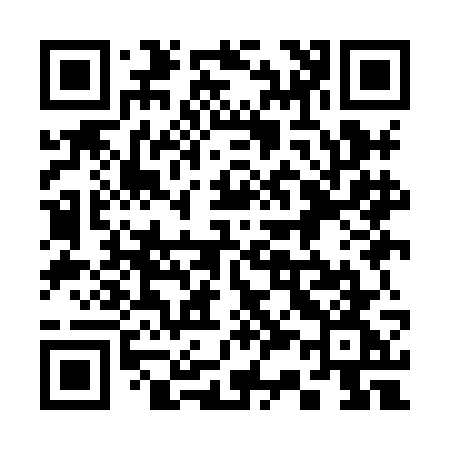 QR code for 339HGG