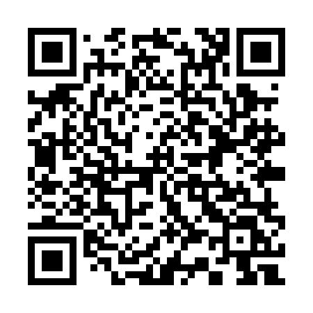 QR code for 339PLL