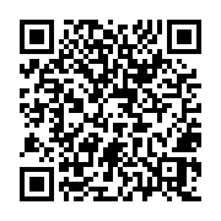 QR code for 357PMR