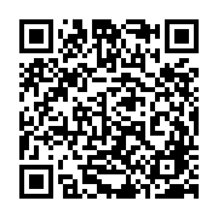 QR code for 369MDG