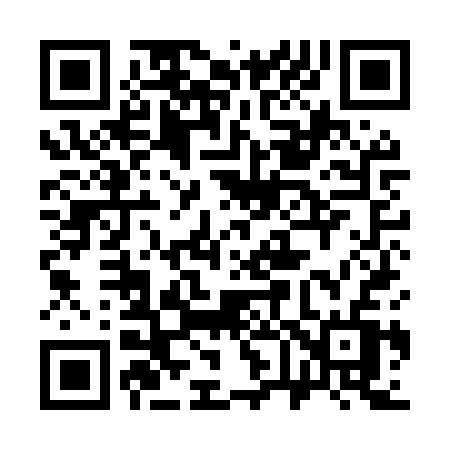 QR code for 369MSV
