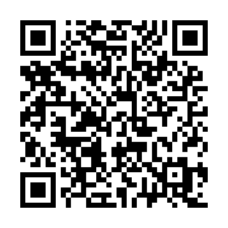 QR code for 371IBM