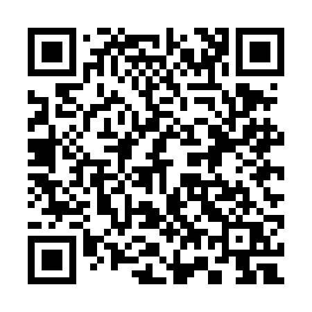 QR code for 375DBQ
