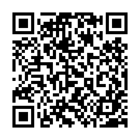 QR code for 375DHL