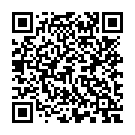 QR code for 375NYF