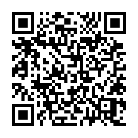QR code for 375SLR