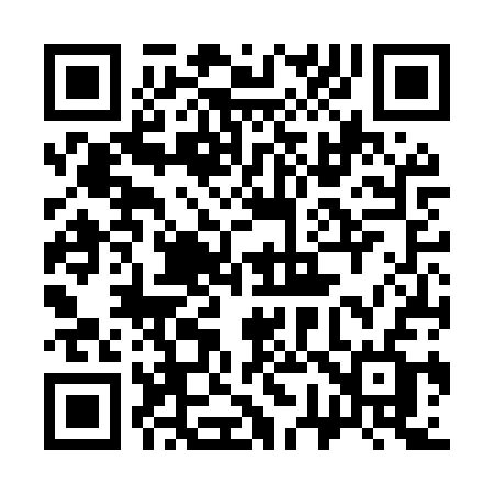 QR code for 376MSF