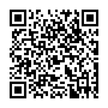 QR code for 376PBM
