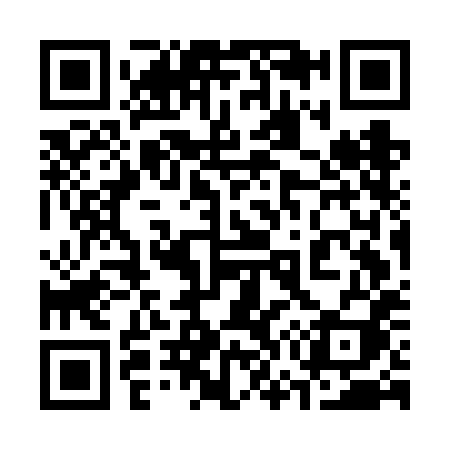 QR code for 377FHI