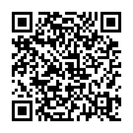 QR code for 378SFM
