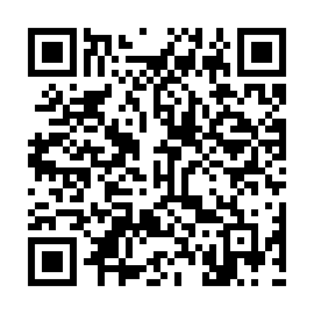 QR code for 379SFF