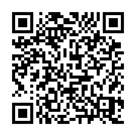 QR code for 381CFS