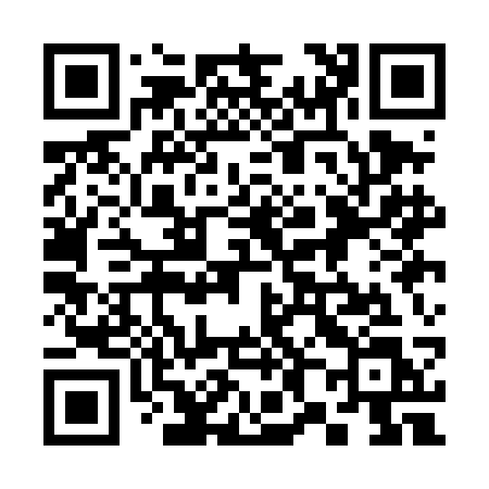 QR code for 381DCL