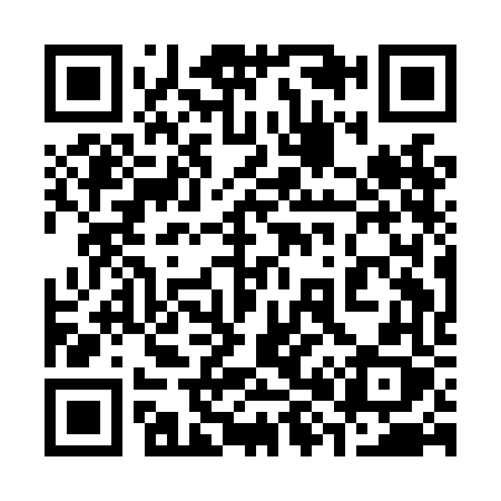 QR code for 381LFX