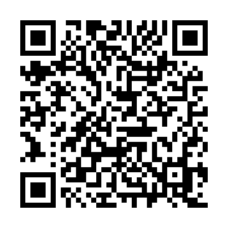 QR code for 381MSO