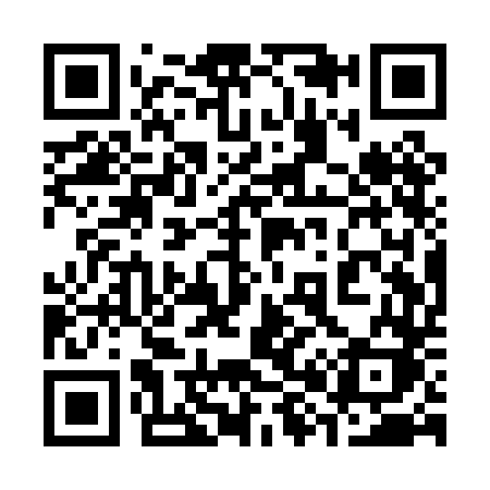 QR code for 381PDK