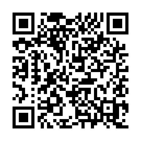 QR code for 381QII