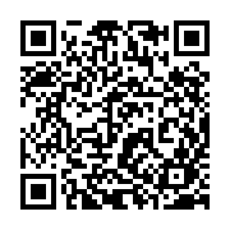 QR code for 381QIN