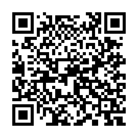 QR code for 382DMS