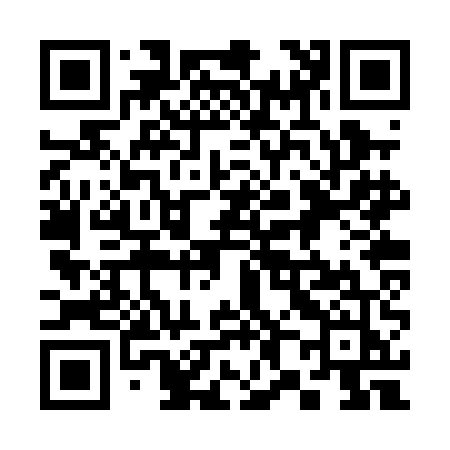 QR code for 382PEJ